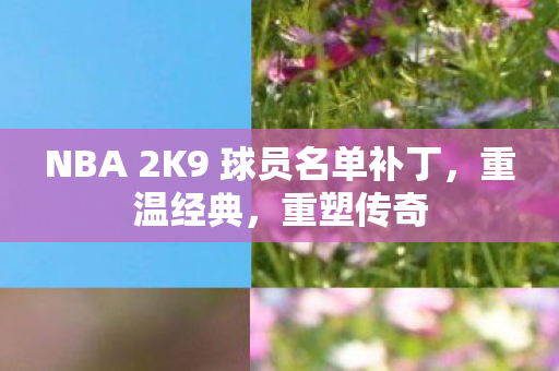 NBA 2K9 球员名单补丁，重温经典，重塑传奇