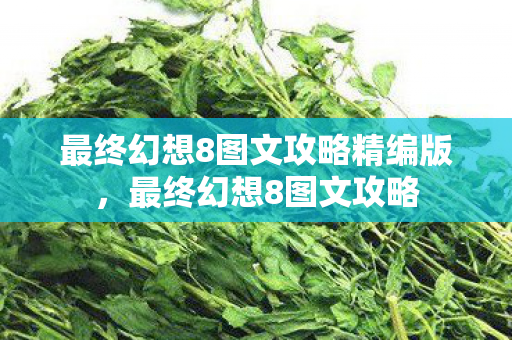 最终幻想8图文攻略精编版，最终幻想8图文攻略