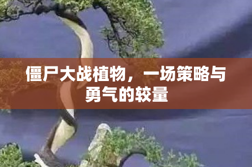 僵尸大战植物，一场策略与勇气的较量