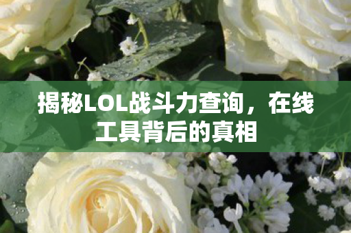 揭秘LOL战斗力查询，在线工具背后的真相