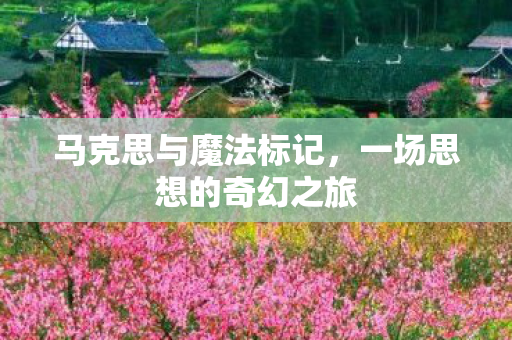 马克思与魔法标记，一场思想的奇幻之旅