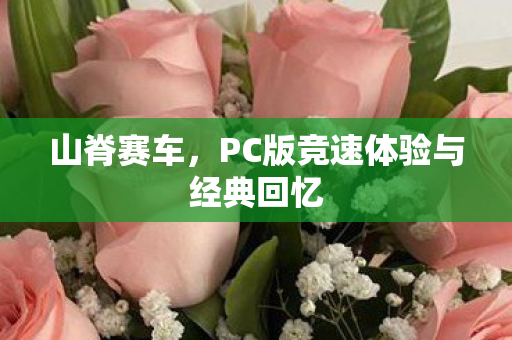 山脊赛车,PC版竞速体验与经典回忆 山脊赛车,PC版竞速体验与经典回忆