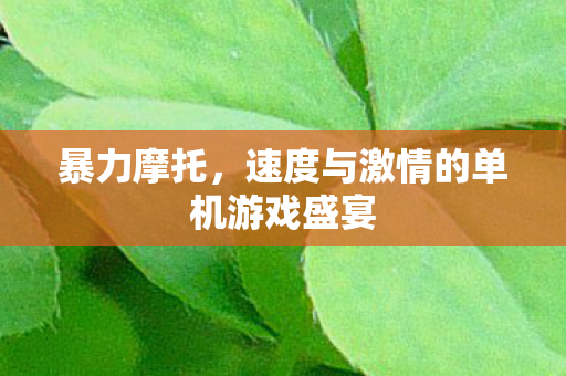 暴力摩托，速度与激情的单机游戏盛宴