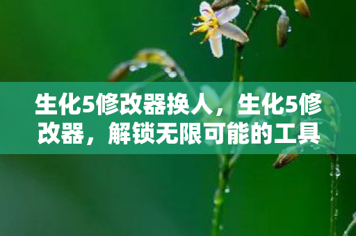 生化5修改器换人，生化5修改器，解锁无限可能的工具