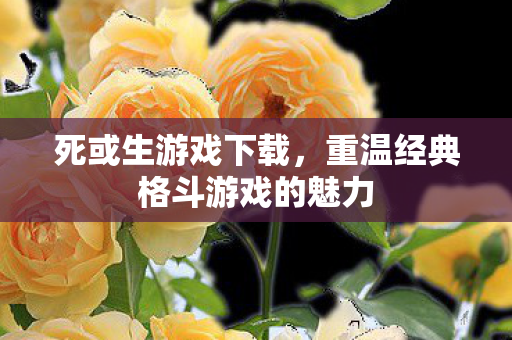 死或生游戏下载，重温经典格斗游戏的魅力