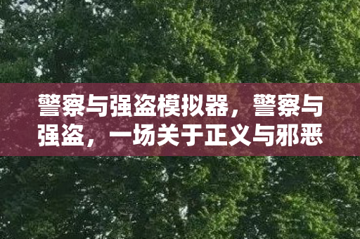 警察与强盗模拟器,警察与强盗,一场关于正义与邪恶的较量 警察与强盗模拟器,警察与强盗,一场关于正义与邪恶的较量