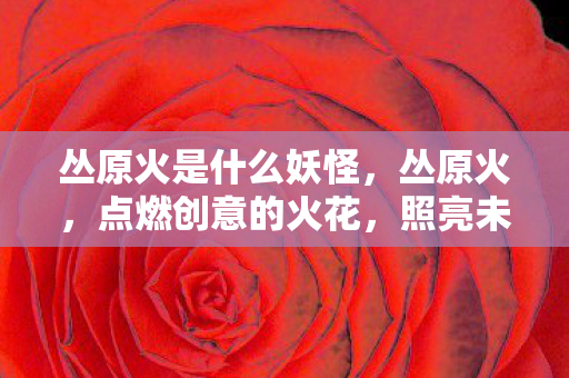 丛原火是什么妖怪，丛原火，点燃创意的火花，照亮未来的道路