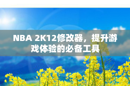 NBA 2K12修改器，提升游戏体验的必备工具