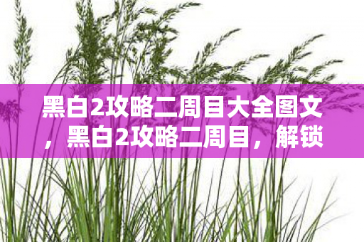 黑白2攻略二周目大全图文，黑白2攻略二周目，解锁新挑战，探索未知领域