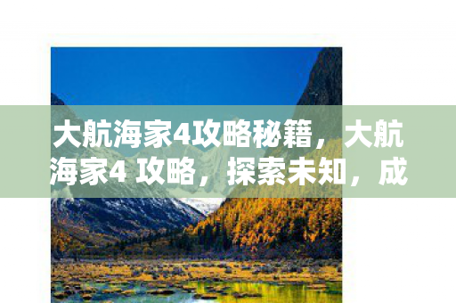 大航海家4攻略秘籍，大航海家4 攻略，探索未知，成就海上霸业