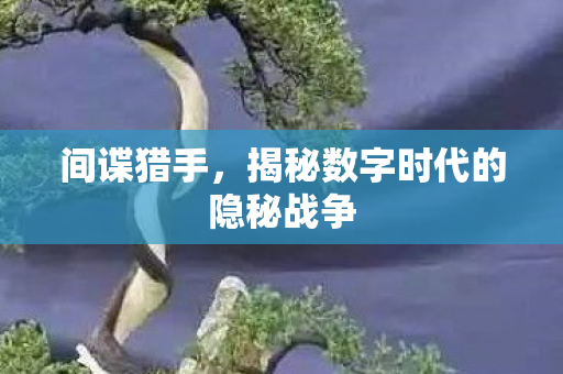 间谍猎手,揭秘数字时代的隐秘战争 间谍猎手,揭秘数字时代的隐秘战争