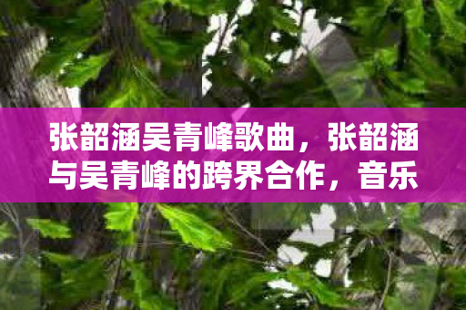 张韶涵吴青峰歌曲，张韶涵与吴青峰的跨界合作，音乐与情感的双重盛宴