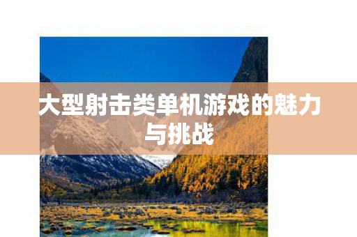 大型射击类单机游戏的魅力与挑战