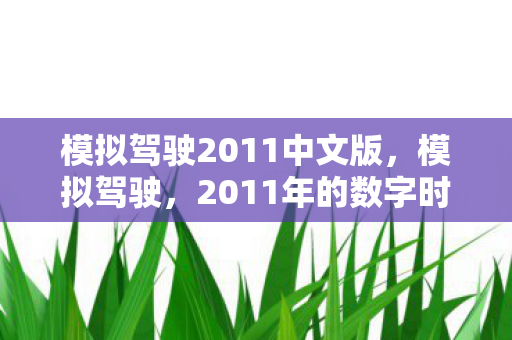 模拟驾驶2011中文版，模拟驾驶，2011年的数字时代驾驶体验