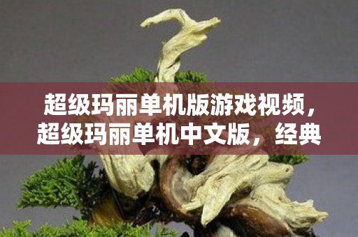 超级玛丽单机版游戏视频,超级玛丽单机中文版,经典游戏的魅力与回忆 超级玛丽单机版游戏视频,超级玛丽单机中文版,经典游戏的魅力与回忆