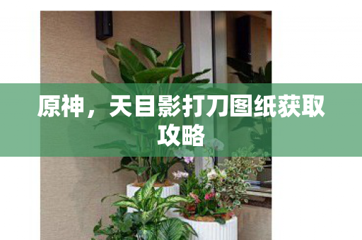 原神，天目影打刀图纸获取攻略