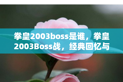 拳皇2003boss是谁，拳皇2003Boss战，经典回忆与策略分析