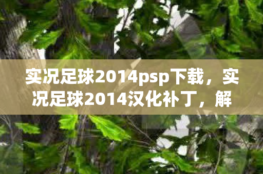 实况足球2014psp下载,实况足球2014汉化补丁,解锁游戏新境界的必备工具 实况足球2014psp下载,实况足球2014汉化补丁,解锁游戏新境界的必备工具