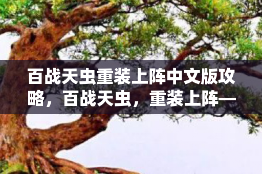 百战天虫重装上阵中文版攻略，百战天虫，重装上阵——中文版体验与评测
