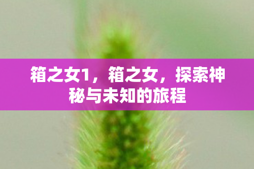 箱之女1，箱之女，探索神秘与未知的旅程