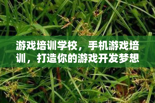 游戏培训学校,手机游戏培训,打造你的游戏开发梦想 游戏培训学校,手机游戏培训,打造你的游戏开发梦想