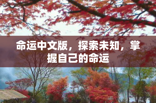 命运中文版，探索未知，掌握自己的命运