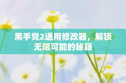黑手党2通用修改器，解锁无限可能的秘籍