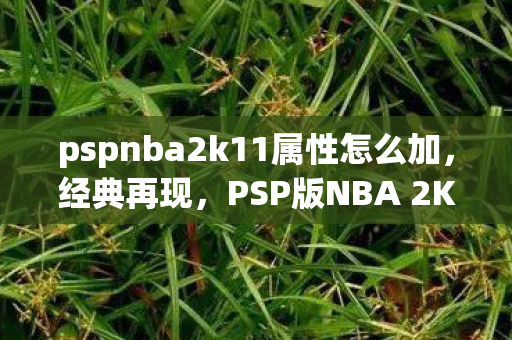 pspnba2k11属性怎么加,经典再现,PSP版NBA 2K11的篮球盛宴 pspnba2k11属性怎么加,经典再现,PSP版NBA 2K11的篮球盛宴