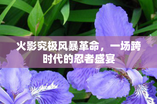 火影究极风暴革命，一场跨时代的忍者盛宴