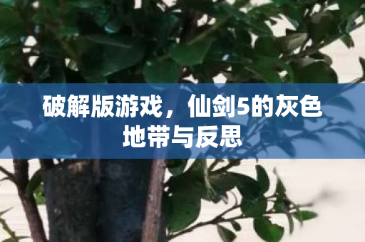 破解版游戏,仙剑5的灰色地带与反思 破解版游戏,仙剑5的灰色地带与反思