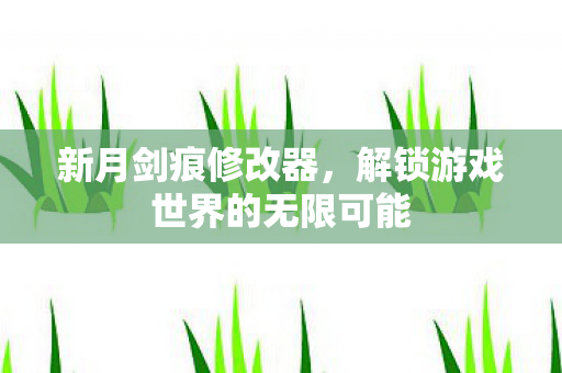 新月剑痕修改器，解锁游戏世界的无限可能
