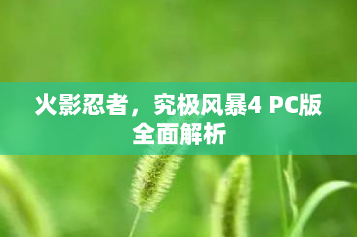 火影忍者，究极风暴4 PC版全面解析