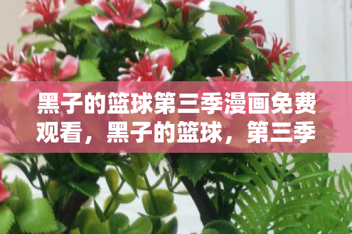 黑子的篮球第三季漫画免费观看，黑子的篮球，第三季漫画的深度解析