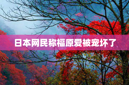 日本网民称福原爱被宠坏了