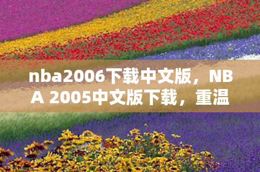 nba2006下载中文版，NBA 2005中文版下载，重温经典篮球游戏的怀旧之旅