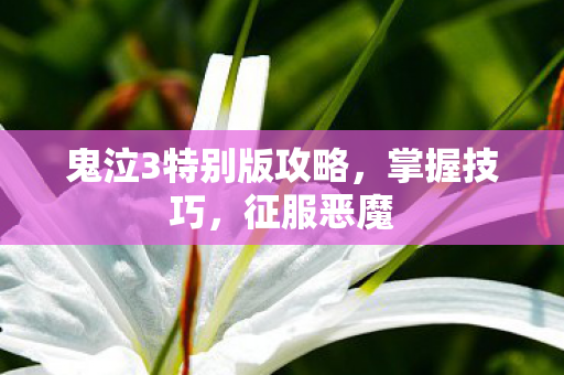 鬼泣3特别版攻略，掌握技巧，征服恶魔