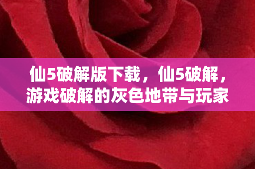 仙5破解版下载,仙5破解,游戏破解的灰色地带与玩家心理 仙5破解版下载,仙5破解,游戏破解的灰色地带与玩家心理