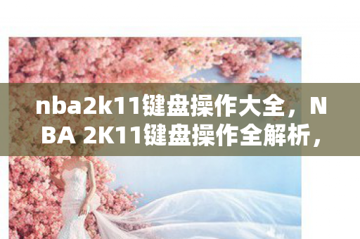 nba2k11键盘操作大全，NBA 2K11键盘操作全解析，掌握技巧，称霸球场