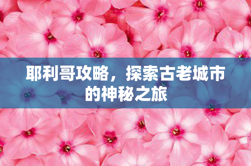 耶利哥攻略，探索古老城市的神秘之旅