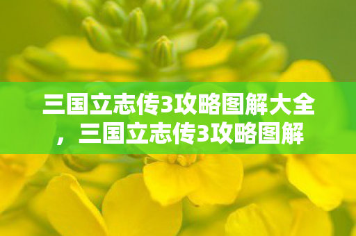 三国立志传3攻略图解大全,三国立志传3攻略图解 三国立志传3攻略图解大全,三国立志传3攻略图解