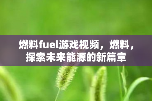 燃料fuel游戏视频，燃料，探索未来能源的新篇章