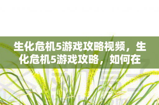 生化危机5游戏攻略视频，生化危机5游戏攻略，如何在末日世界中生存