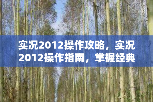 实况2012操作攻略，实况2012操作指南，掌握经典足球游戏的精髓