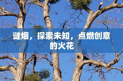 谜烟，探索未知，点燃创意的火花