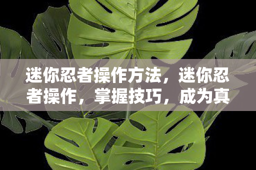 迷你忍者操作方法,迷你忍者操作,掌握技巧,成为真正的忍者大师 迷你忍者操作方法,迷你忍者操作,掌握技巧,成为真正的忍者大师