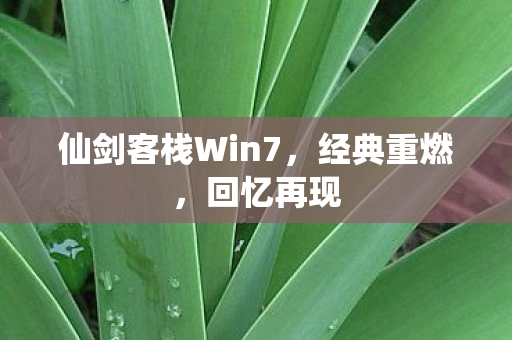 仙剑客栈Win7，经典重燃，回忆再现