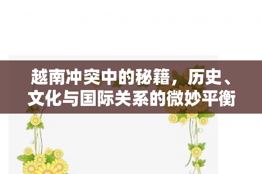 越南冲突中的秘籍，历史、文化与国际关系的微妙平衡