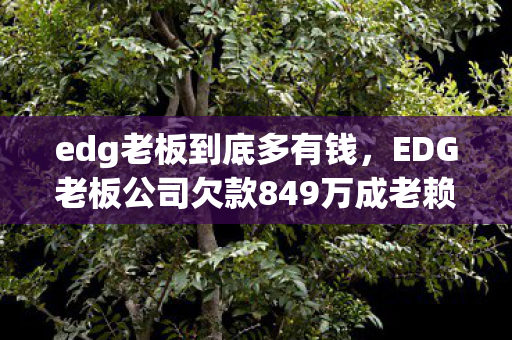 edg老板到底多有钱，EDG老板公司欠款849万成老赖，电竞圈的财务危机？