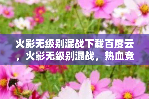 火影无级别混战下载百度云，火影无级别混战，热血竞技，即刻开启！