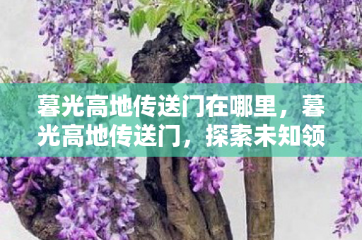 暮光高地传送门在哪里，暮光高地传送门，探索未知领域的神秘门户